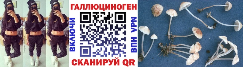 MEGA ссылки  Альметьевск  Псилоцибиновые грибы Psilocybe 
