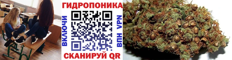 darknet наркотические препараты  Альметьевск  Конопля тримм 